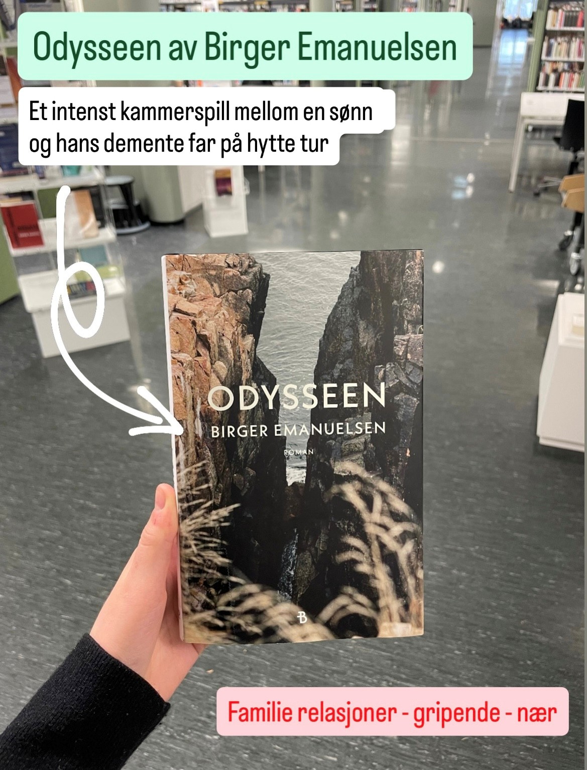 Boktips: Odysseen